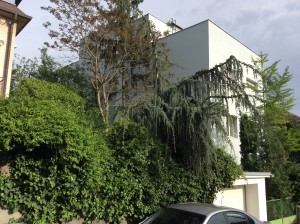 Završena je energetska obnova zgrade - Antuna Vramca 15 5